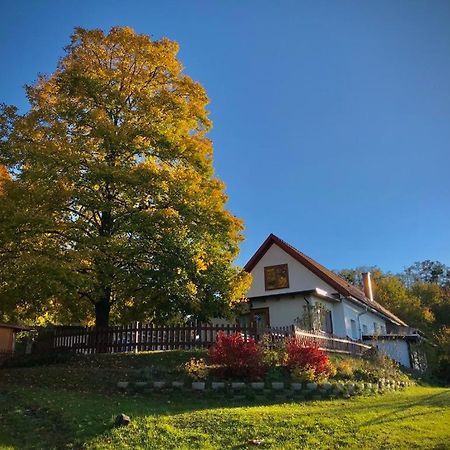 Ferienhaus Koller Gussing Exterior photo