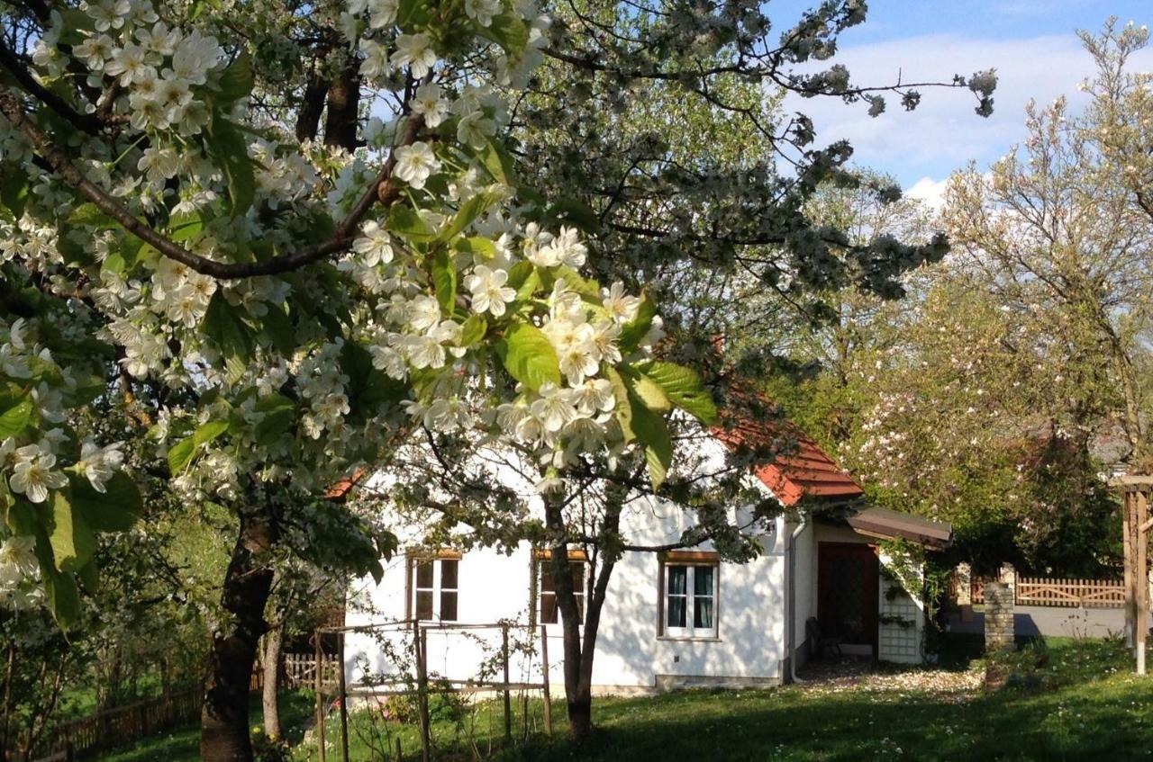 Ferienhaus Koller Gussing Exterior photo